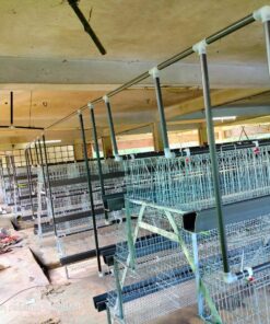 3 Tier 10, 12 Layer Cage 66" মুরগির খাচা