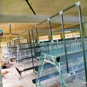 3 Tier 10, 12 Layer Cage 66" মুরগির খাচা