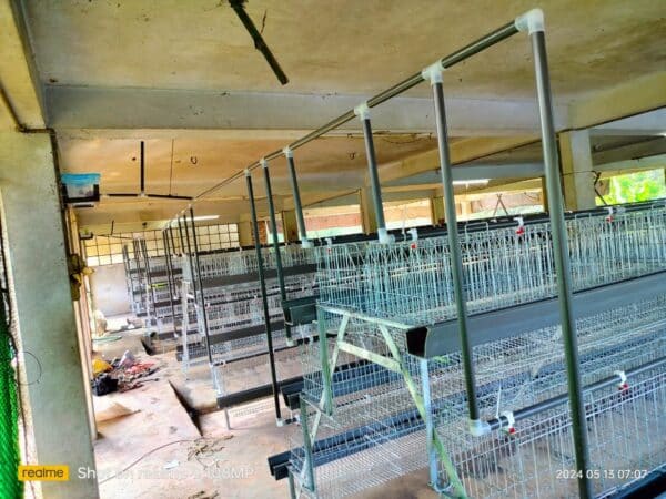 3 Tier 10, 12 Layer Cage 66" মুরগির খাচা